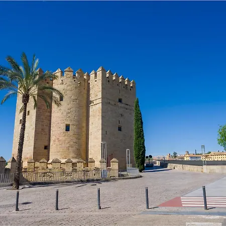 Apartamento El Descanso De Wallada -tranquilidad Y Confort - Traveller Award 2026
